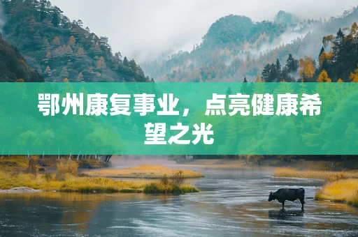 鄂州康复事业，点亮健康希望之光