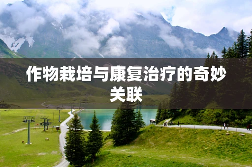 作物栽培与康复治疗的奇妙关联