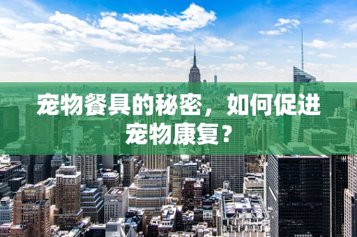 宠物餐具的秘密，如何促进宠物康复？