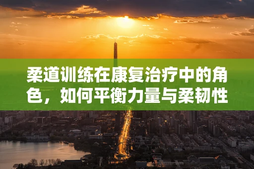 柔道训练在康复治疗中的角色，如何平衡力量与柔韧性？