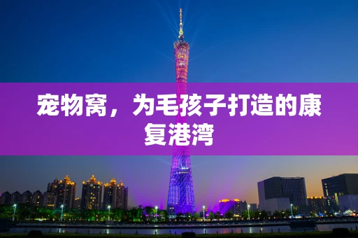 宠物窝，为毛孩子打造的康复港湾
