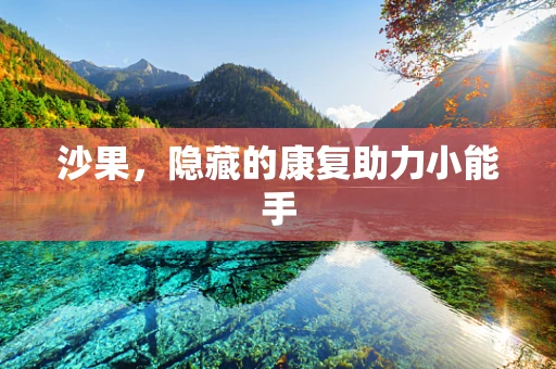 沙果，隐藏的康复助力小能手