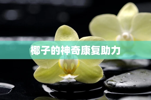 椰子的神奇康复助力