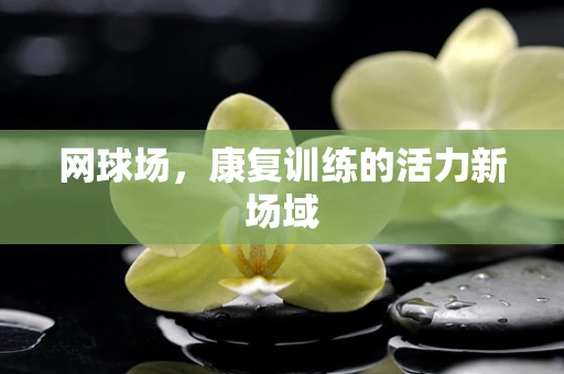 网球场，康复训练的活力新场域