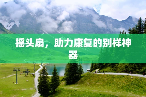 摇头扇，助力康复的别样神器