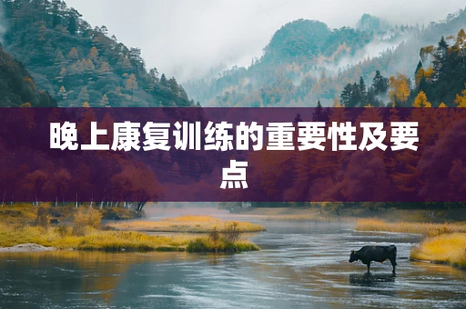 晚上康复训练的重要性及要点