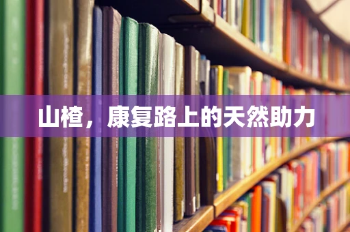 山楂，康复路上的天然助力