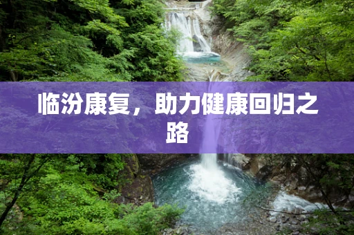 临汾康复，助力健康回归之路