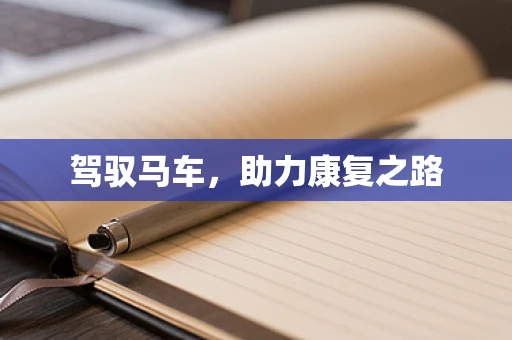 驾驭马车，助力康复之路