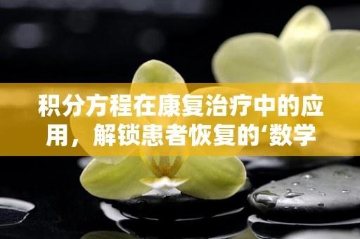 积分方程在康复治疗中的应用，解锁患者恢复的‘数学钥匙’