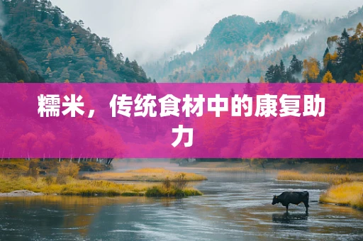 糯米，传统食材中的康复助力