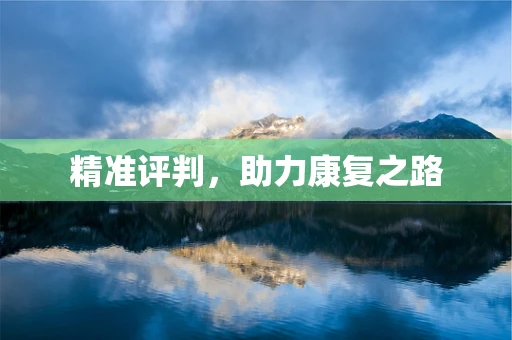 精准评判，助力康复之路