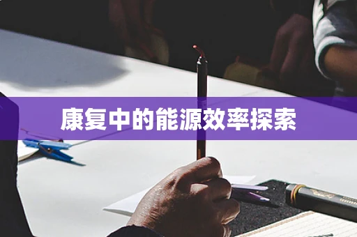康复中的能源效率探索
