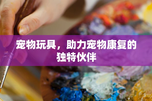 宠物玩具，助力宠物康复的独特伙伴