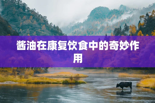 酱油在康复饮食中的奇妙作用
