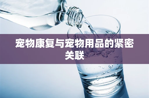 宠物康复与宠物用品的紧密关联