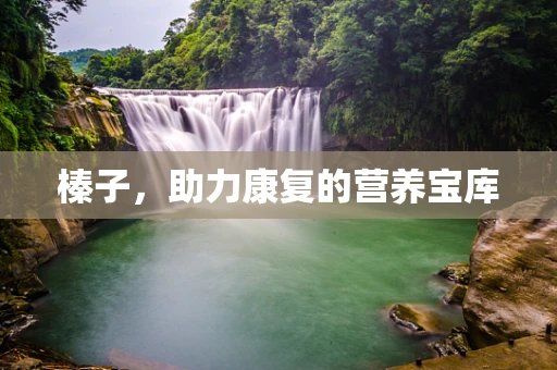 榛子，助力康复的营养宝库