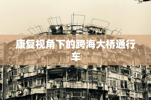 康复视角下的跨海大桥通行车