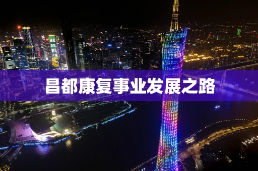 昌都康复事业发展之路