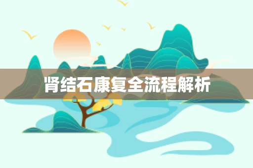 肾结石康复全流程解析