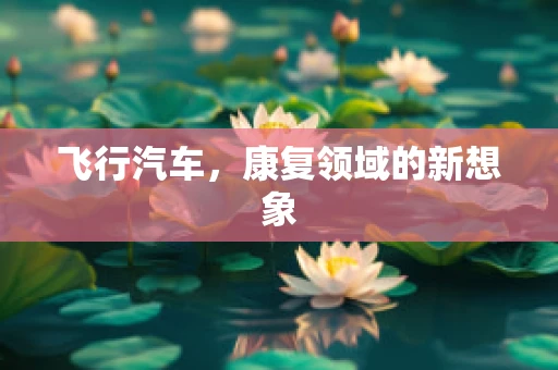 飞行汽车，康复领域的新想象