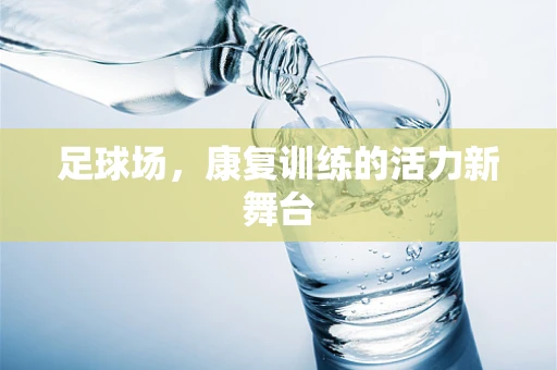 足球场，康复训练的活力新舞台