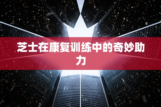 芝士在康复训练中的奇妙助力