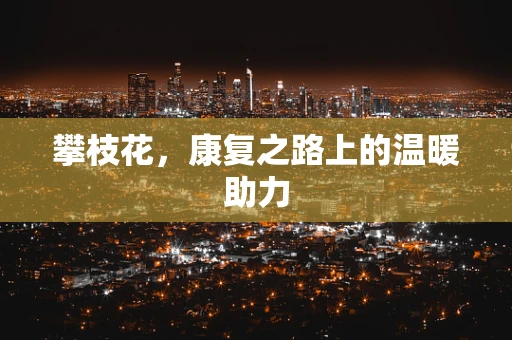攀枝花，康复之路上的温暖助力