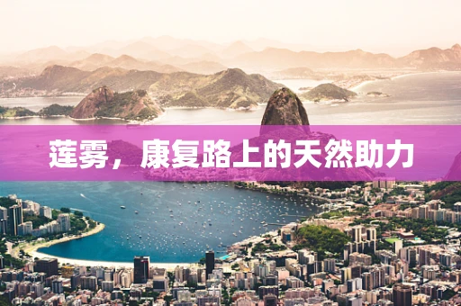 莲雾，康复路上的天然助力