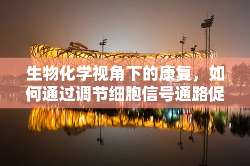 生物化学视角下的康复，如何通过调节细胞信号通路促进神经再生？