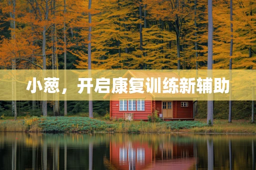 小葱，开启康复训练新辅助