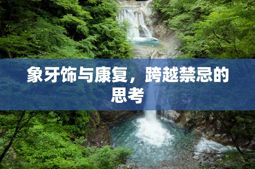 象牙饰与康复，跨越禁忌的思考