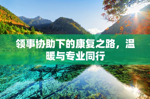 领事协助下的康复之路，温暖与专业同行