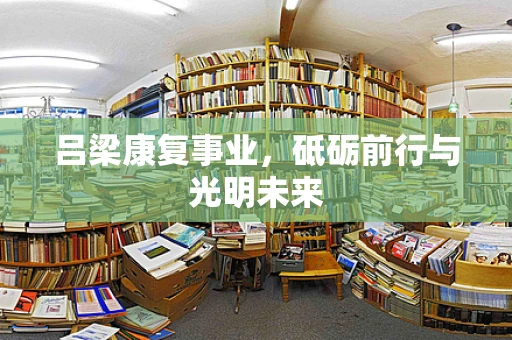 吕梁康复事业，砥砺前行与光明未来