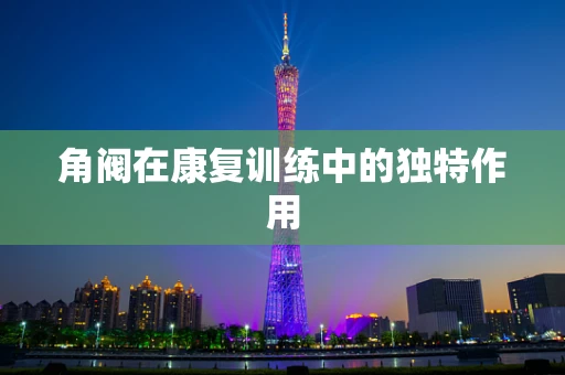 角阀在康复训练中的独特作用