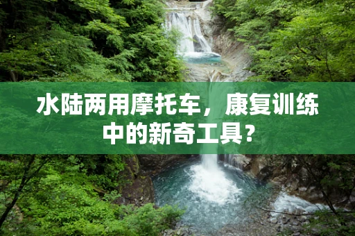 水陆两用摩托车，康复训练中的新奇工具？
