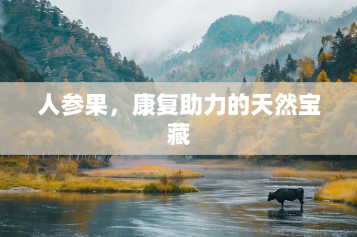 人参果，康复助力的天然宝藏