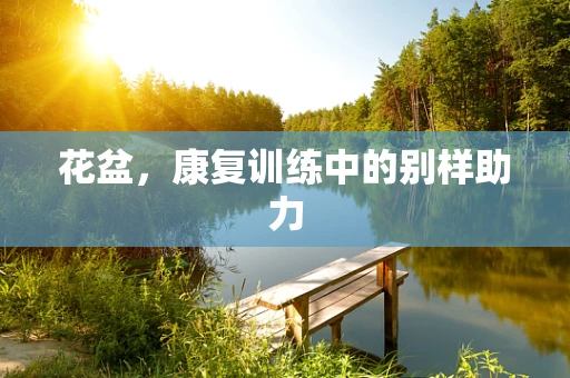 花盆，康复训练中的别样助力