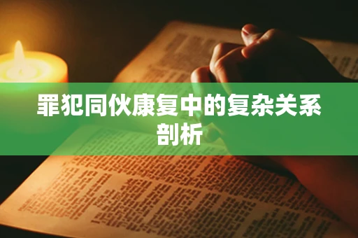 罪犯同伙康复中的复杂关系剖析