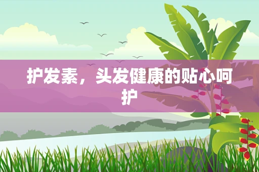 护发素，头发健康的贴心呵护