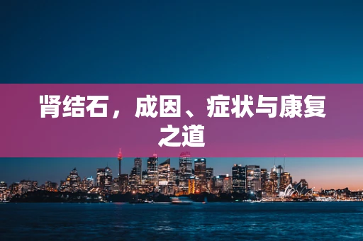 肾结石，成因、症状与康复之道