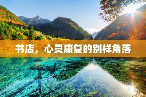 书店，心灵康复的别样角落