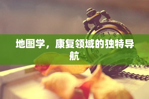 地图学，康复领域的独特导航