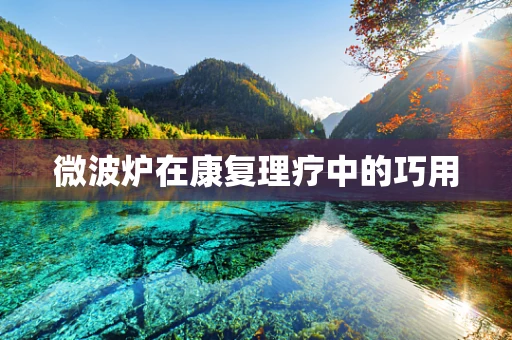 微波炉在康复理疗中的巧用