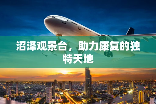 沼泽观景台，助力康复的独特天地