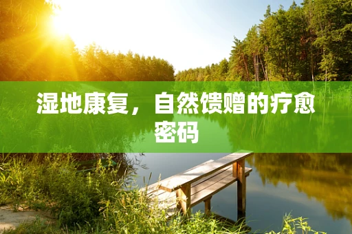 湿地康复，自然馈赠的疗愈密码