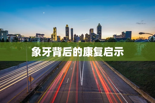 象牙背后的康复启示