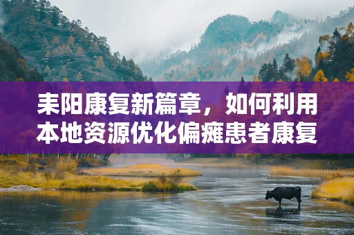 耒阳康复新篇章，如何利用本地资源优化偏瘫患者康复环境？