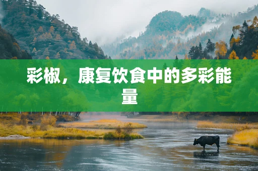 彩椒，康复饮食中的多彩能量