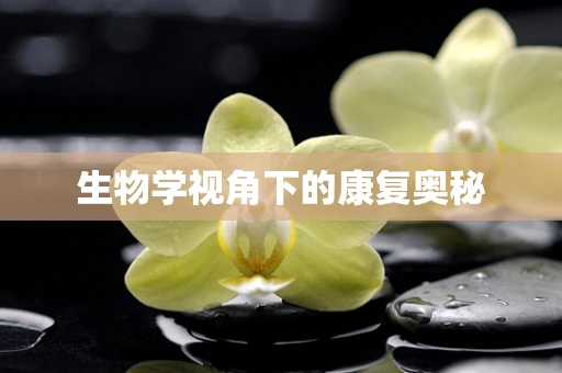 生物学视角下的康复奥秘